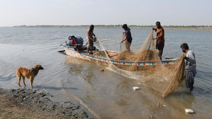 Sungai Indus yang berada di wilayah Jamshoro, Pakistan terus mengalami kekeringan. Debit air pada sungai tersebut juga terus menyusut dari tahun ke tahun. (REUTERS/Yasir Rajput)