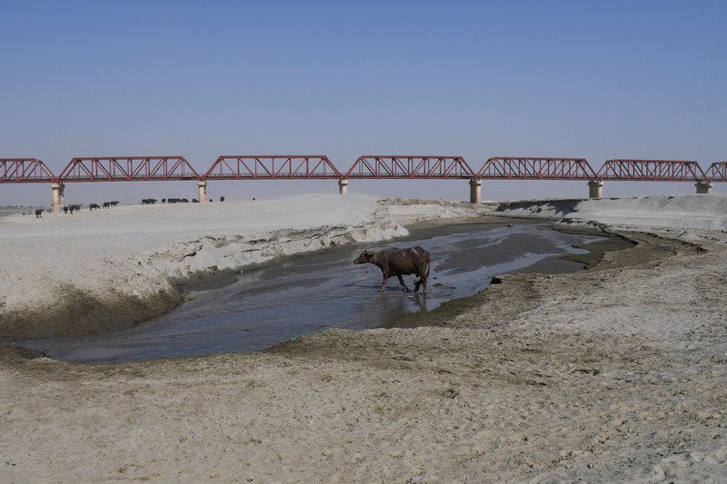Sungai Indus yang berada di wilayah Jamshoro, Pakistan terus mengalami kekeringan. Debit air pada sungai tersebut juga terus menyusut dari tahun ke tahun. (REUTERS/Yasir Rajput)