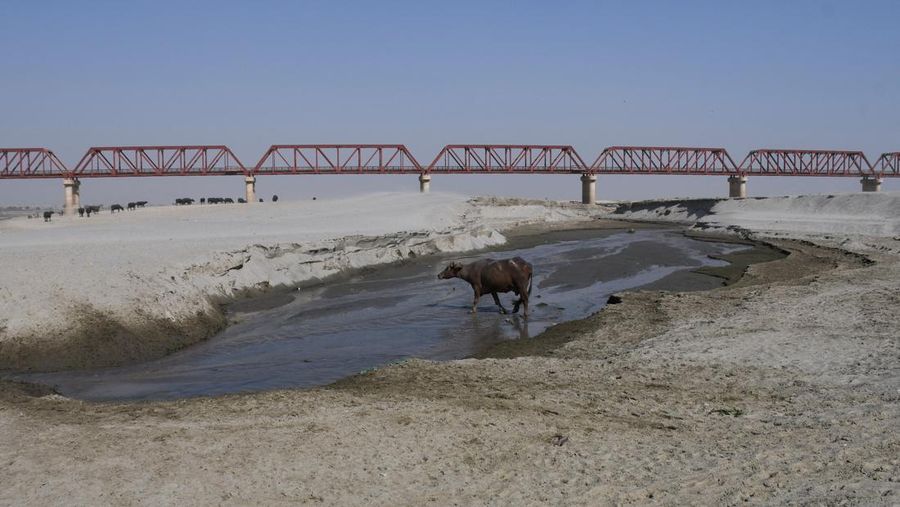 Sungai Indus yang berada di wilayah Jamshoro, Pakistan terus mengalami kekeringan. Debit air pada sungai tersebut juga terus menyusut dari tahun ke tahun. (REUTERS/Yasir Rajput)