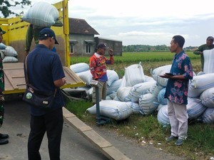 Bulog Serap 16.800 Ton Beras di Kediri, Tertinggi se-Jatim
