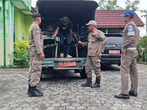 Pelaku Bakar Terpal dan Oles Kotoran di Kafe Tarakan Diamankan Satpol PP