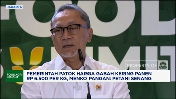 Video: Harga Gabah Dipatok Rp 6.500/Kg, Menko Pangan: Petani Senang