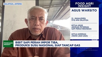 Vidoe: Peternak: RI Butuh Impor 1 Juta Sapi Perah Demi Swasembada Susu