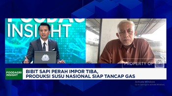 Video: Pak Prabowo, Ini Alasan Peternak Sapi Perah Minta Jaminan Pasar