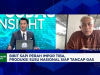 Video: Pak Prabowo, Ini Alasan Peternak Sapi Perah Minta Jaminan Pasar