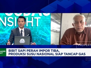 Video: Pak Prabowo, Ini Alasan Peternak Sapi Perah Minta Jaminan Pasar