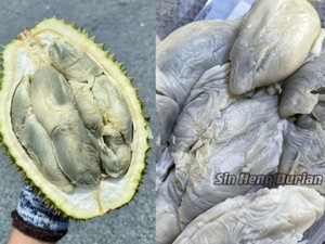 5 Makanan Ini Berbau Busuk Ini Jadi Favorit, Ada Durian dan Mie Busuk