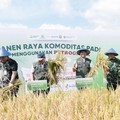 Panen Raya di Blora, Petroganik Sukses Tingkatkan Produktivitas Padi