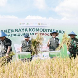 Panen Raya di Blora, Petroganik Sukses Tingkatkan Produktivitas Padi