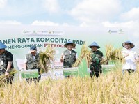 Panen Raya di Blora, Petroganik Sukses Tingkatkan Produktivitas Padi