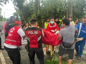 Hujan Angin, Pemotor Tewas Tertimpa Pohon Tua di Jalur Denpasar-Singaraja