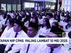 Video: Kabar Baik! Penetapan NIP CPNS Paling Lambat 10 Mei 2025
