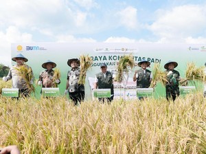 Manfaatkan Petroganik, Produktivitas Padi di Blora Naik 17,2%