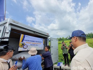 Wamentan Minta Petani Lapor Jika Harga Gabah Kering di Bawah Rp 6.500