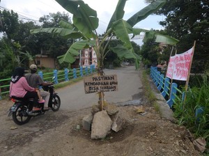 Video: Warga Tanam Pisang di Jalan Alternatif Klaten-Gunungkidul yang Rusak Parah