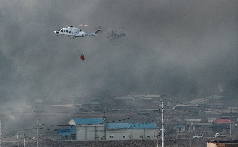 Petugas pemadam kebakaran memadamkan api di bangunan pabrik yang dilalap api hutan di Uiseong, Korea Selatan, Sabtu, 22 Maret 2025. Petugas pemadam kebakaran memadamkan api di bangunan pabrik yang dilalap api hutan di Uiseong, Korea Selatan, Sabtu, 22 Maret 2025. (Yoon Gwan-shick/Yonhap via AP)