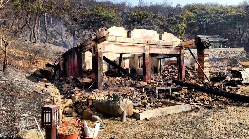 Kebakaran hutan di Korea Selatan menghancurkan kuil bersejarah Unramsa di Uiseong, kata kantor daerah setempat pada Minggu (23/3/2025). (Tangkapan Layar Video Reuters/UISEONG COUNTY OFFICE HANDOUT)