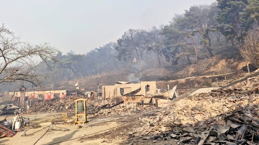 Kebakaran hutan di Korea Selatan menghancurkan kuil bersejarah Unramsa di Uiseong, kata kantor daerah setempat pada Minggu (23/3/2025). (Tangkapan Layar Video Reuters/UISEONG COUNTY OFFICE HANDOUT)