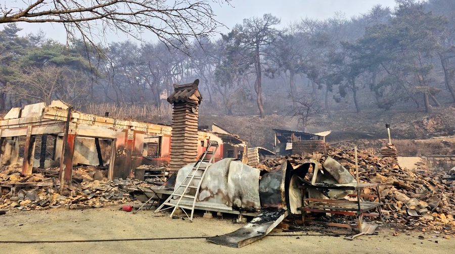 Kebakaran hutan di Korea Selatan menghancurkan kuil bersejarah Unramsa di Uiseong, kata kantor daerah setempat pada Minggu (23/3/2025). (Tangkapan Layar Video Reuters/UISEONG COUNTY OFFICE HANDOUT)