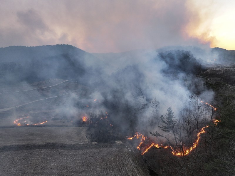 Petugas pemadam kebakaran memadamkan api di bangunan pabrik yang dilalap api hutan di Uiseong, Korea Selatan, Sabtu, 22 Maret 2025. Petugas pemadam kebakaran memadamkan api di bangunan pabrik yang dilalap api hutan di Uiseong, Korea Selatan, Sabtu, 22 Maret 2025. (Yoon Gwan-shick/Yonhap via AP)