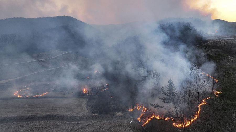 Petugas pemadam kebakaran memadamkan api di bangunan pabrik yang dilalap api hutan di Uiseong, Korea Selatan, Sabtu, 22 Maret 2025. (Yoon Gwan-shick/Yonhap via AP)