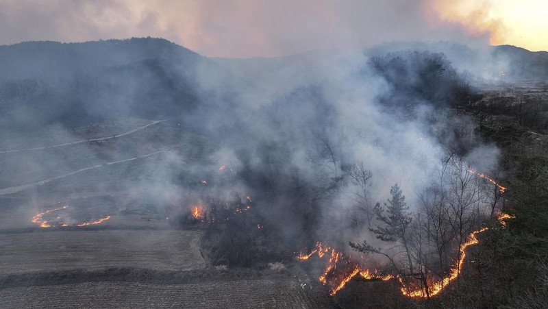 Petugas pemadam kebakaran memadamkan api di bangunan pabrik yang dilalap api hutan di Uiseong, Korea Selatan, Sabtu, 22 Maret 2025. (Yoon Gwan-shick/Yonhap via AP)
