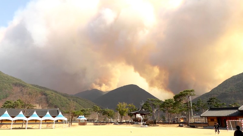 Petugas pemadam kebakaran memadamkan api di bangunan pabrik yang dilalap api hutan di Uiseong, Korea Selatan, Sabtu, 22 Maret 2025. (Yoon Gwan-shick/Yonhap via AP)