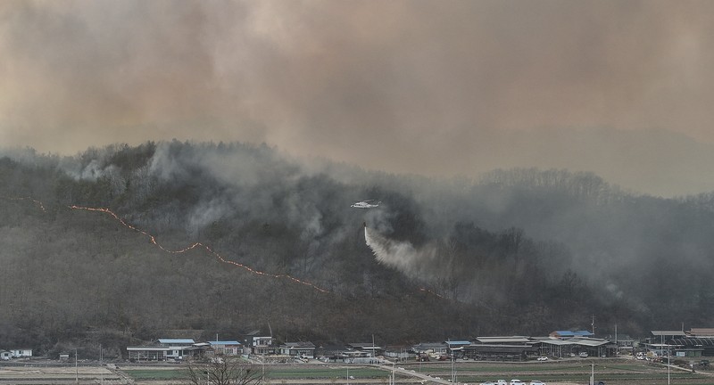 Petugas pemadam kebakaran memadamkan api di bangunan pabrik yang dilalap api hutan di Uiseong, Korea Selatan, Sabtu, 22 Maret 2025. (Yoon Gwan-shick/Yonhap via AP)