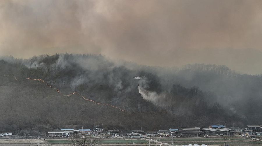 Petugas pemadam kebakaran memadamkan api di bangunan pabrik yang dilalap api hutan di Uiseong, Korea Selatan, Sabtu, 22 Maret 2025. (Yoon Gwan-shick/Yonhap via AP)