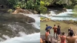 Heboh Anaconda Raksasa Muncul di Sungai Bikin Turis Ketakutan