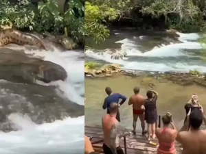 Heboh Anaconda Raksasa Muncul di Sungai Bikin Turis Ketakutan