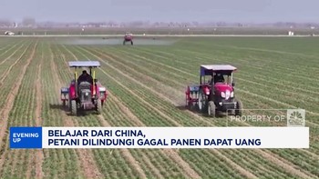 Video: Di China, Petani Gagal Panen Dilindungi Pemerintah