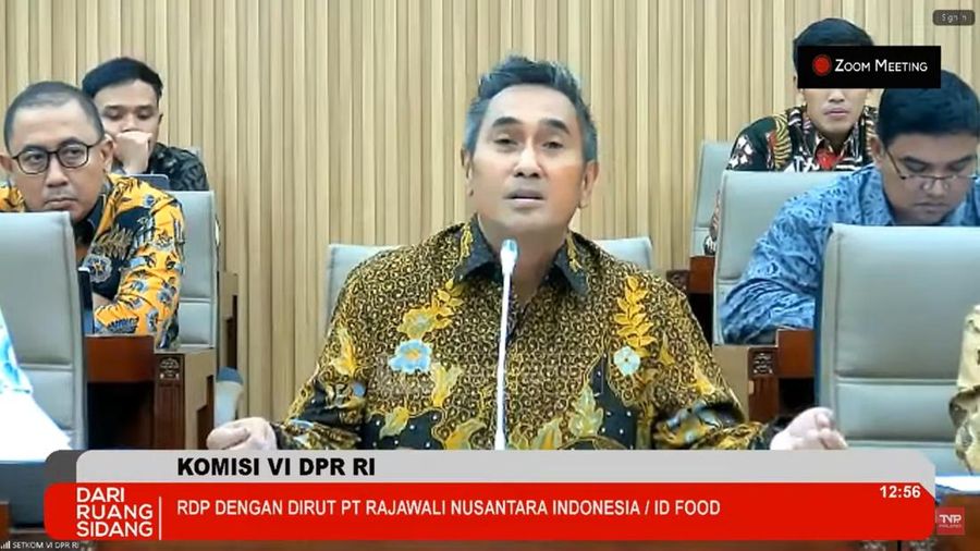 Dirut ID FOOD Ghimoyo saat RDP dengan Komisi VI DPR, Senin (24/3/2025). (Tangkapan layar Youtube Komisi VI DPR )