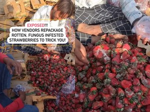 Jorok! Penjual Ini Kemas Ulang Stroberi Busuk untuk Dijual Lagi