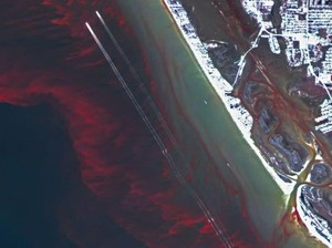 Ilmuwan Ungkap Misteri Laut Berwarna Merah di Florida