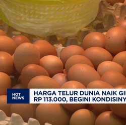 Video: Harga Telur Dunia Naik-Susunan Komisaris & Direksi BRI Terbaru