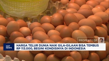 Video: Harga Telur Dunia Naik-Susunan Komisaris & Direksi BRI Terbaru