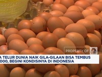 Video: Harga Telur Dunia Naik-Susunan Komisaris & Direksi BRI Terbaru