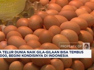 Video: Harga Telur Dunia Naik-Susunan Komisaris & Direksi BRI Terbaru