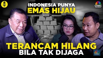 (Part 1) Indonesia Punya Emas Hijau, Terancam 'Hilang' Bila Tak Dijaga