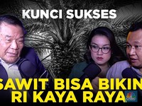 (Part 2) Kunci Sukses Sawit Bisa Bikin RI Kaya Raya