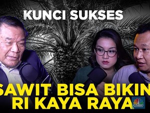 (Part 2) Kunci Sukses Sawit Bisa Bikin RI Kaya Raya