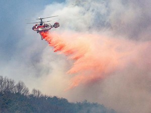 Pilot Tewas setelah Helikopter Pemadam Kebakaran Hutan Jatuh di Korsel