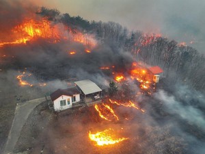 Kebakaran Hutan di Korsel Tewaskan 16 Orang