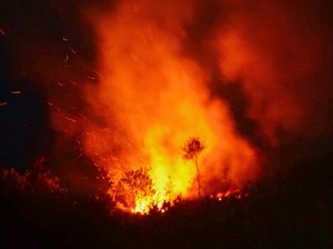 Lahan Bekas Bunker Zaman Perang Dunia II di Tarakan Terbakar