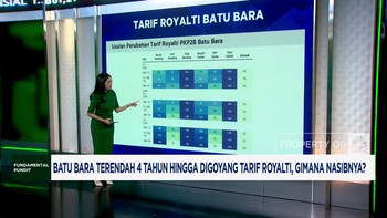 Video: Nasib Batu Bara Saat Harga Anjlok - Rencana Kenaikan Royalti