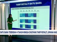 Video: Nasib Batu Bara Saat Harga Anjlok - Rencana Kenaikan Royalti