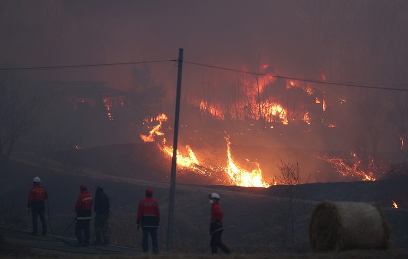 Asap mengepul dari kebakaran hutan yang menghancurkan daerah tersebut, di Andong, Korea Selatan, 25 Maret 2025. Asap mengepul dari kebakaran hutan yang menghancurkan daerah tersebut, di Andong, Korea Selatan, 25 Maret 2025. (Yonhap via REUTERS)