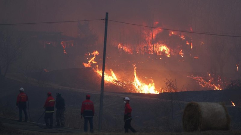 Asap mengepul dari kebakaran hutan yang menghancurkan daerah tersebut, di Andong, Korea Selatan, 25 Maret 2025. (Yonhap via REUTERS)