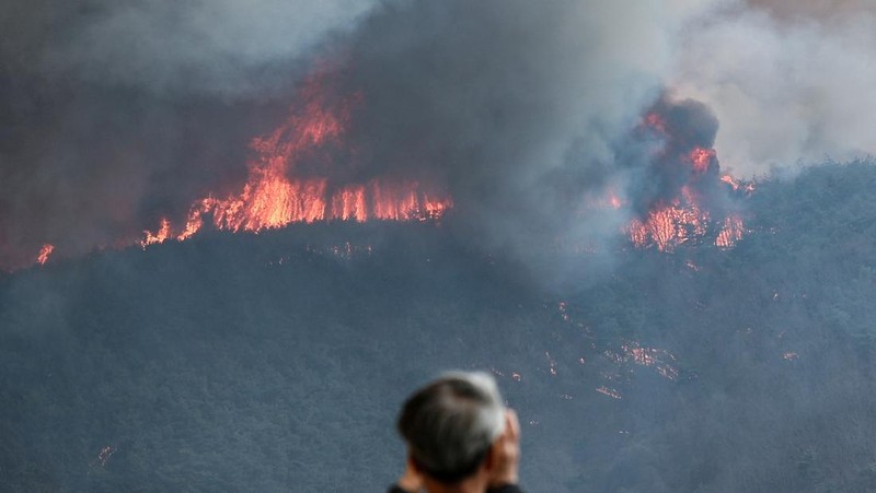 Asap mengepul dari kebakaran hutan yang menghancurkan daerah tersebut, di Andong, Korea Selatan, 25 Maret 2025. (Yonhap via REUTERS)